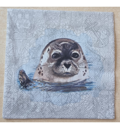 Serviette Robbe
