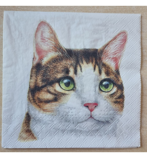 Serviette Katzenkopf