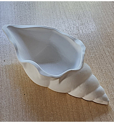 Beton Muschel weiß 2