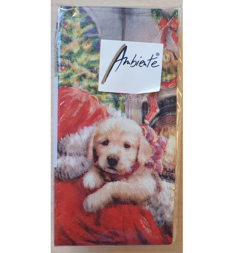 Taschentücher Hund mit Weihnachtsmann
