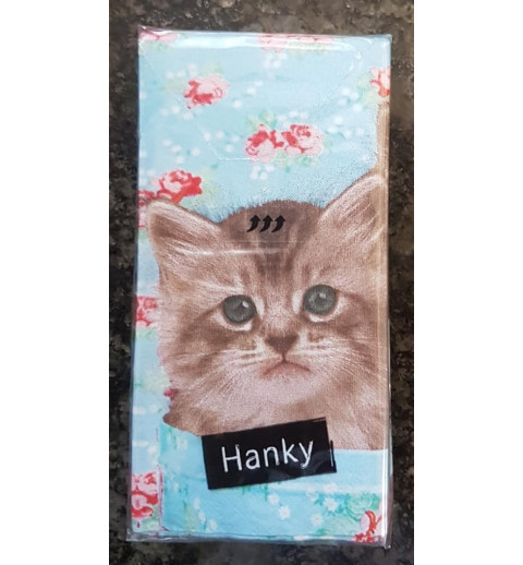Taschentücher Katze