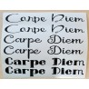 Vinyl Schrift Carpe Diem schwarz