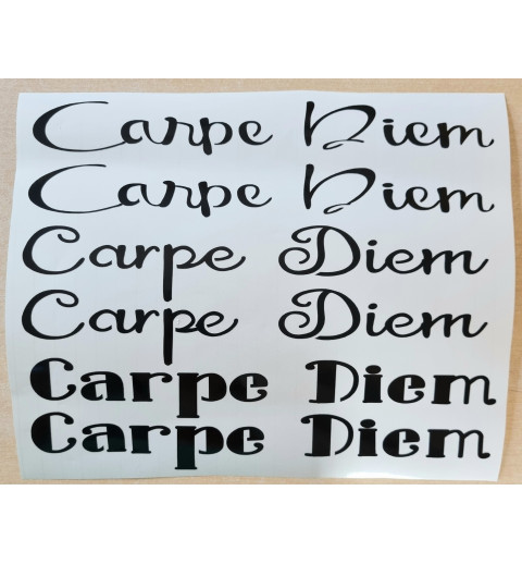 Vinyl Schrift Carpe Diem schwarz