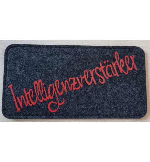 Filz Brillenetui Intelligenzverstärker anthrazit/rot