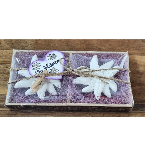 Edelweiss Set " Vo Härze " lila