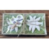 Edelweiss Set " Vo Härze " grün