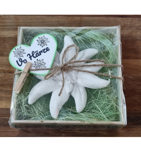 Edelweiss  " Vo Härze "  hellgrün/kariert