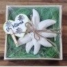 Edelweiss  " Vo Härze "  grün/kariert