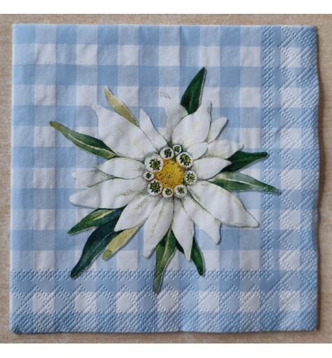 Serviette Edelweiss/Karo hellblau