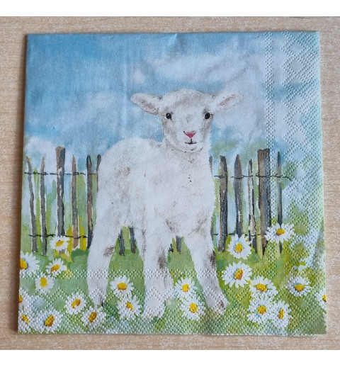Serviette Lamm/Margriten