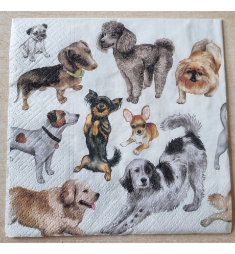 Serviette  " Verschiedene Hunde "