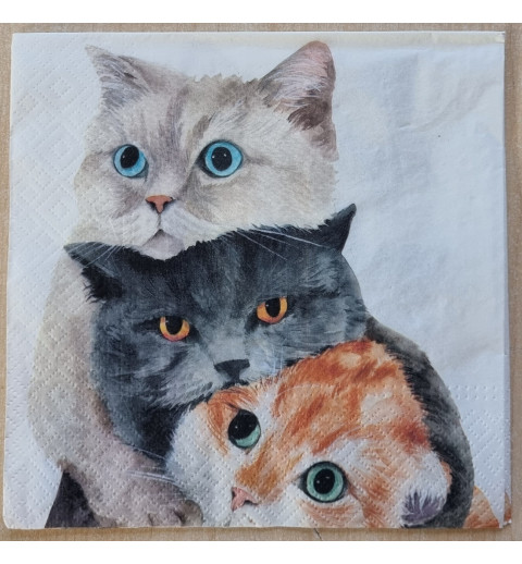 Serviette Drei Katzen