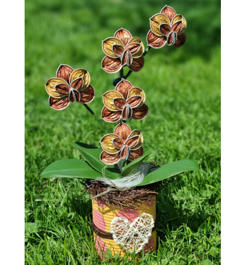 Nespresso Kapseln Orchidee lachs/gold
