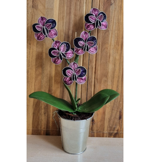 Nespresso Kapseln Orchideen magenta/violette