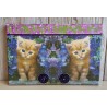 Bild " Katzen " violette/magenta Töne