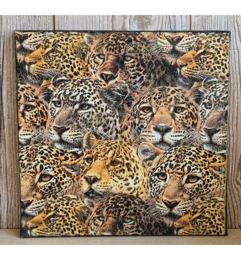 Bild " Leoparden-Köpfe " schwarz Töne