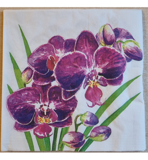 Serviette Orchideen magenta/violette