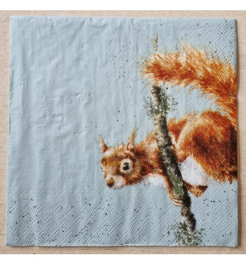 Serviette Eichhörnchen auf Ast