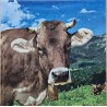 Serviette Kuh blau/grün