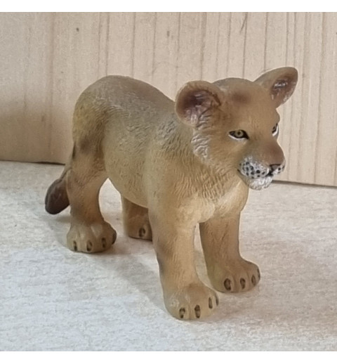 Löwe Junges stehend sandfarbig