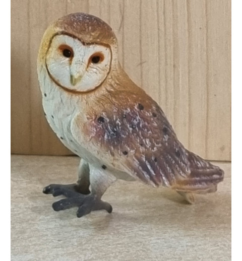 Eule