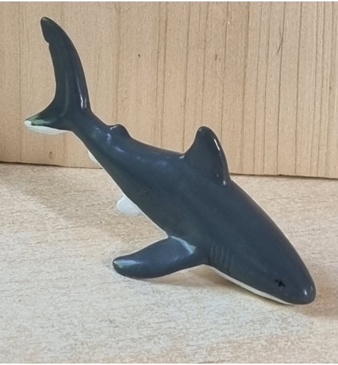 Hai