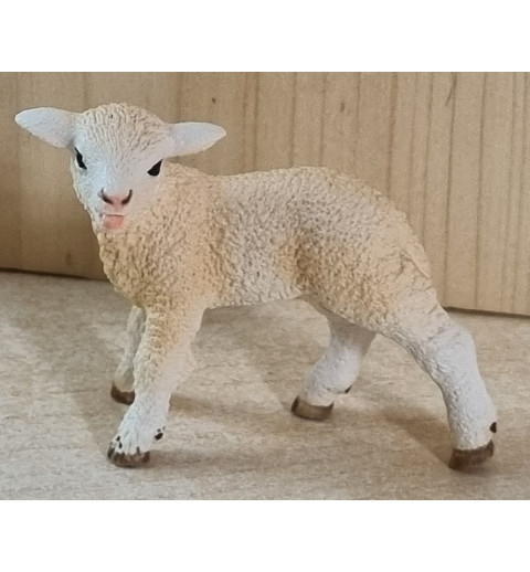 Lamm creme