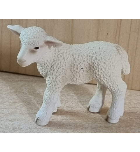 Lamm weiß