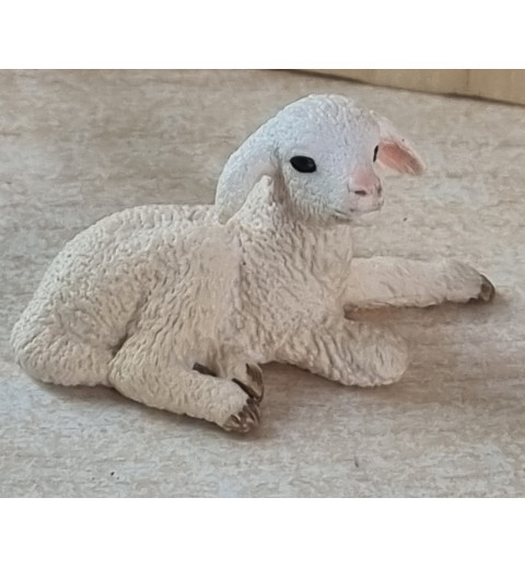 Lamm liegend