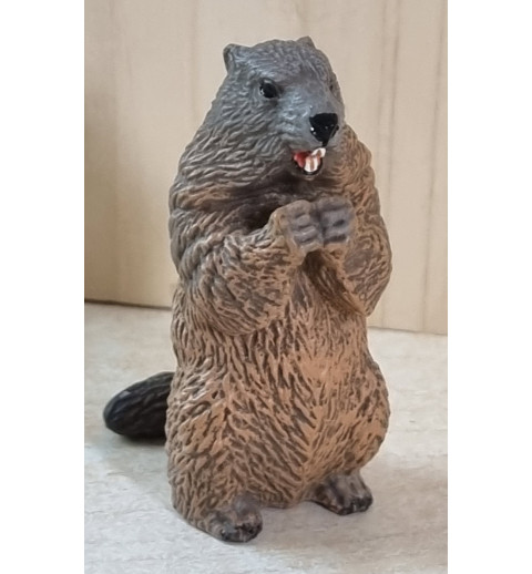 Murmeltier