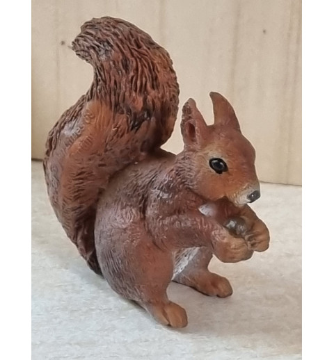 Eichhörnchen