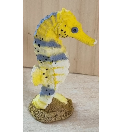 Seepferdchen