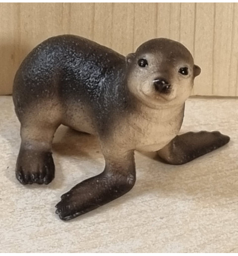 Seehunde dunkel