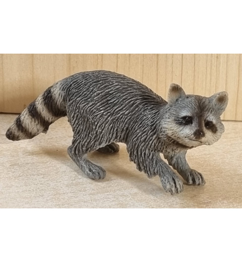 Waschbär