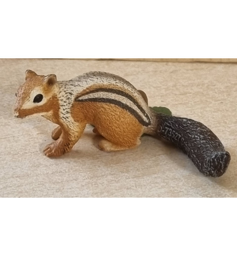 Streifenhörnchen