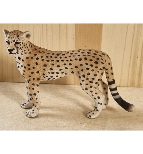 Gepard