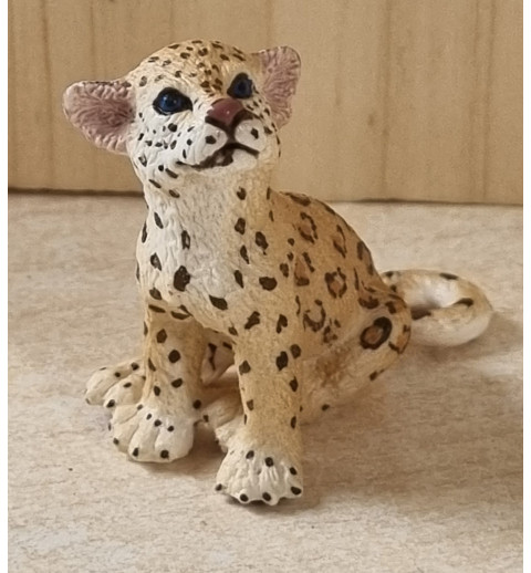 Leopard Junges sitzend