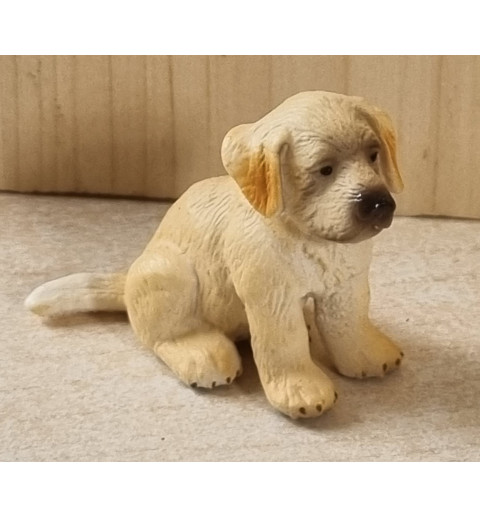 Junger Goldenretriever
