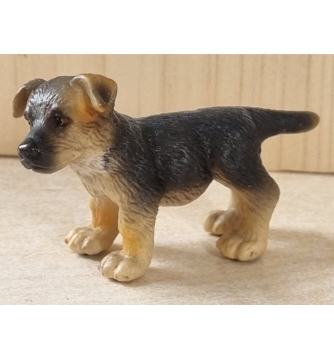 Junger Schäferhund