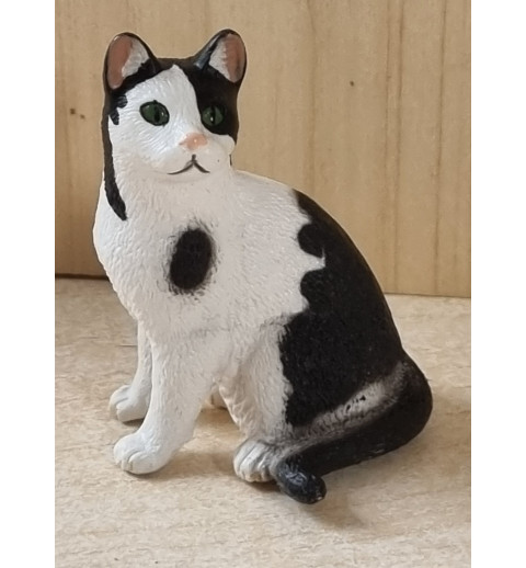Katze schwarz/weiss sitzend