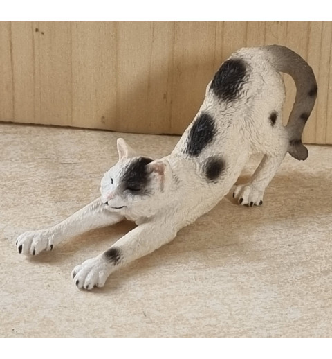 Katze schwarz/weiss streckend