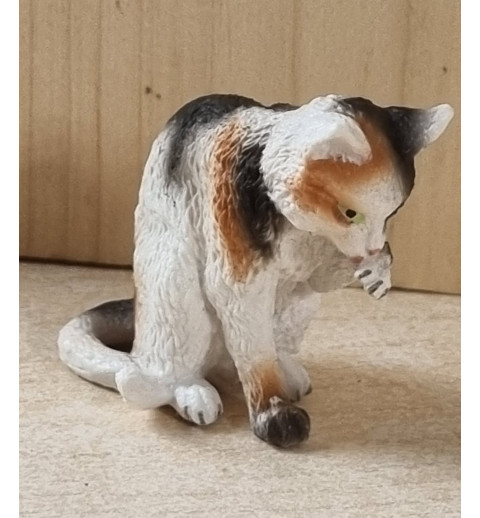 Katze dreifarbig