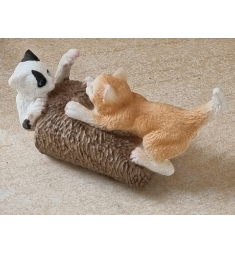 Junge Katzen spielend