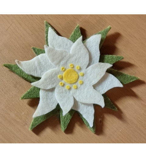 Filz Edelweiss