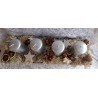 Adventsbalken geflammt/silberfarbig