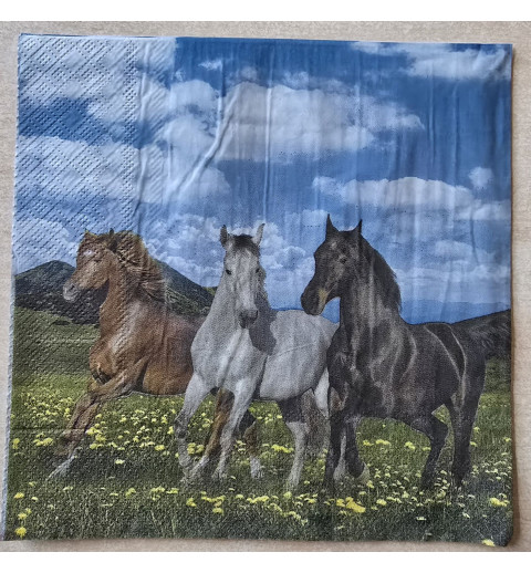 Serviette Drei Pferde auf Wiese