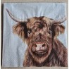 Serviette Hochlandrind Kopf