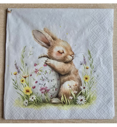 Serviette Kaninchen mit Osterei