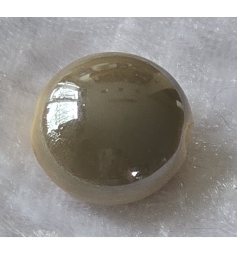 Kunststoff Perle flach beige-grau