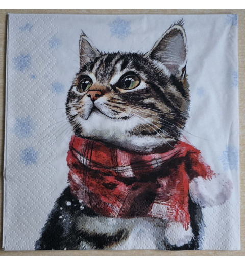 Serviette Katze mit Schal